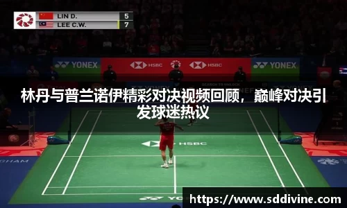 韦德体育