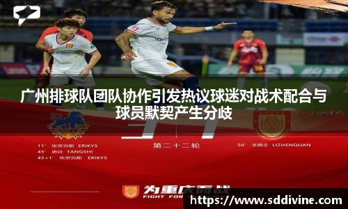 广州排球队团队协作引发热议球迷对战术配合与球员默契产生分歧